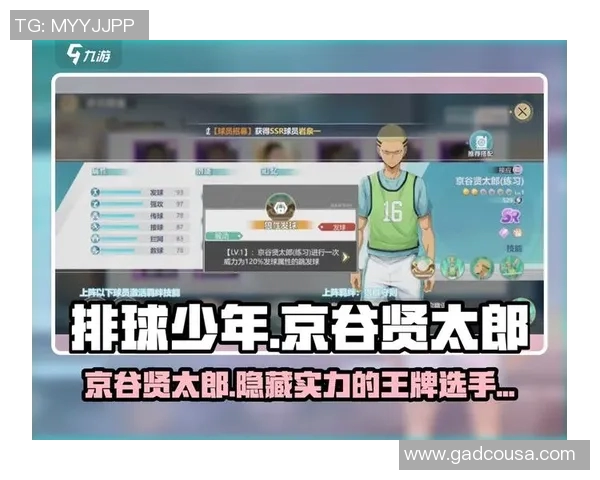 从零开始的排球之旅：全面掌握节奏与技巧的终极指南