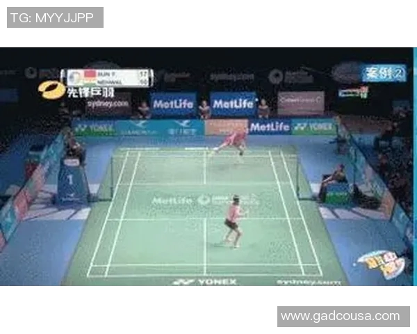 南京羽毛球队节奏对比深度解析与战术演变探讨 南京羽毛球队节奏对比深度解析与战术演变探讨