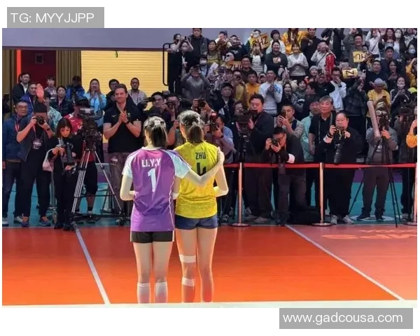 杭州排球队速度之争引发热议球迷与专家各执己见