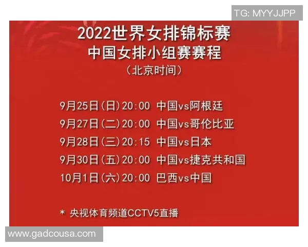 重庆排球队在世界锦标赛中的实力展现与未来发展潜力分析