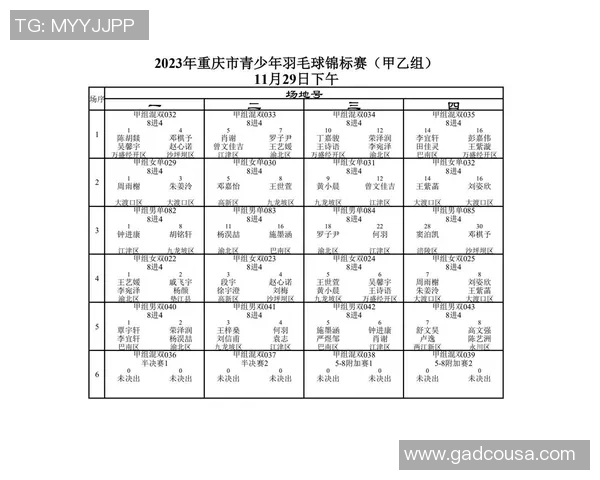 重庆羽毛球队战术实力分析荣登全国第八名引关注