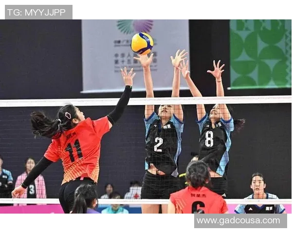 排球热议：深圳排球队的战术争议