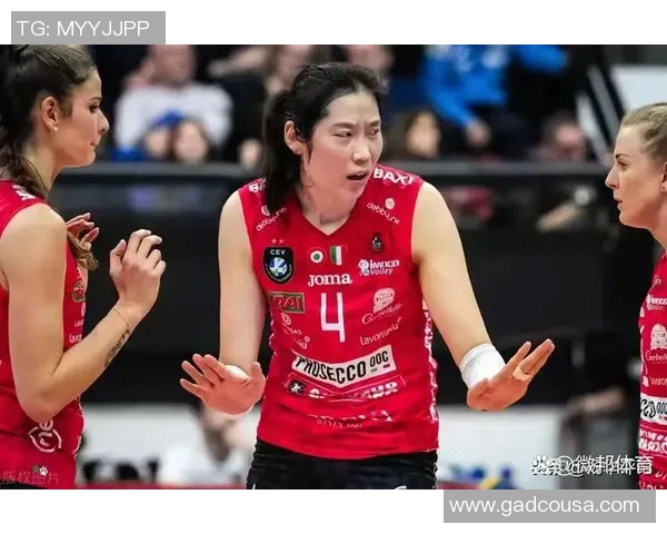 2026排球灵活性排名：南京排球队创新高