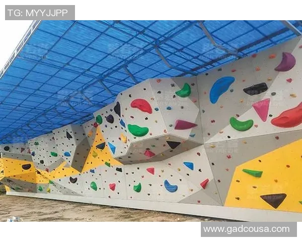 数据分析：南京攀岩队的心理素质表现