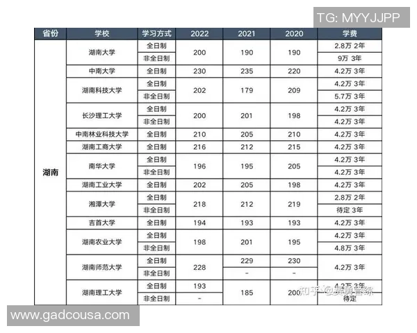 独家分析：深圳滑板队的意识对比