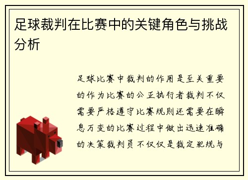 足球裁判在比赛中的关键角色与挑战分析 