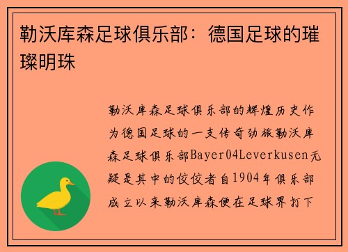 勒沃库森足球俱乐部：德国足球的璀璨明珠