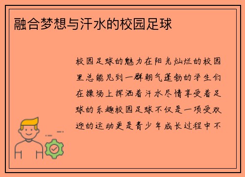 融合梦想与汗水的校园足球