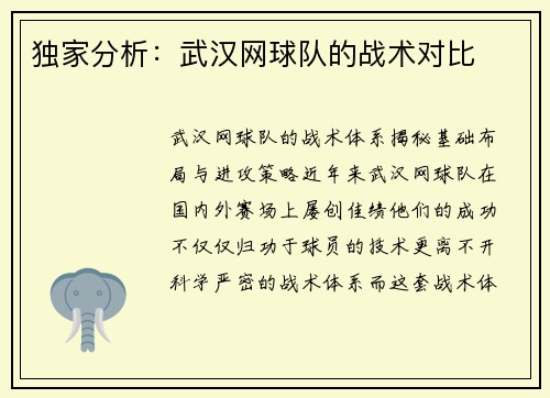 独家分析：武汉网球队的战术对比