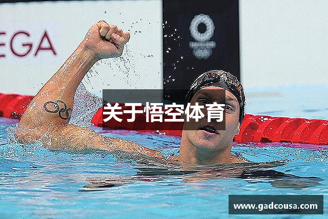 关于悟空体育